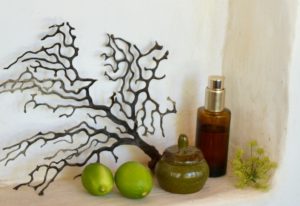 Ayurvedic Skin Care Immersion